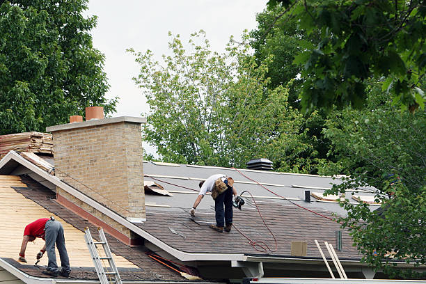 Best Roof Gutter Cleaning  in Gainesville, TX